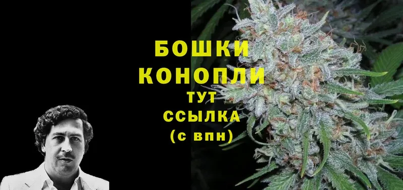 Шишки марихуана THC 21%  mega   мориарти телеграм  Бирюч 